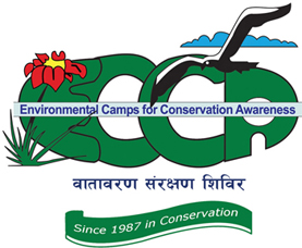 Environmental Camps for Conservation Awareness